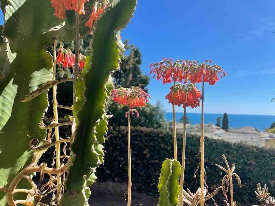 Apartmán Nervi Residenziale A Due Passi Dal Mare Janov Exteriér fotografie